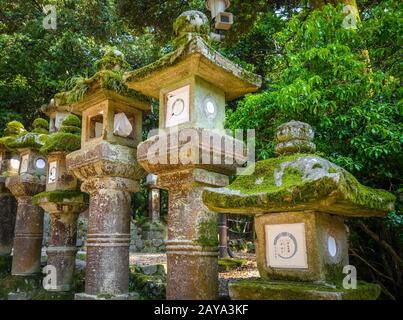 Lanterne del Santuario Kasuga-Taisha, Nara, Giappone Foto Stock