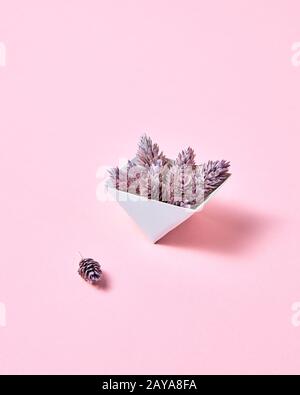 Pigne in un cartone scatola triangolare su un sfondo rosa con copia spazio per il testo. Layout creativi Foto Stock
