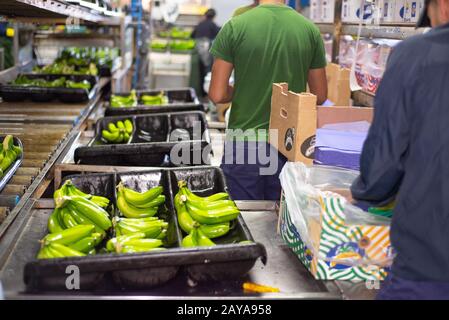 Tenerife, Spagna - 3 gennaio 2019: Etichettatrice automatica durante il funzionamento nell'industria dell'imballaggio alimentare a Tenerife, Canary IS Foto Stock