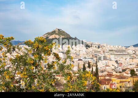 Albero in fiore (a fuoco) contro il paesaggio urbano di Atene e la collina di Lykavitos (fuori fuoco) ad Atene, Grecia. Foto Stock