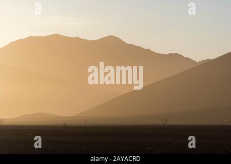 La mattina presto vista del Vlei da Dune 45 una duna di sabbia nella zona di Sossusvlei, il Parco Nazionale Namib-Naukluft in Namibia. Foto Stock