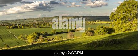 Inghilterra - Chiltern Downs Foto Stock