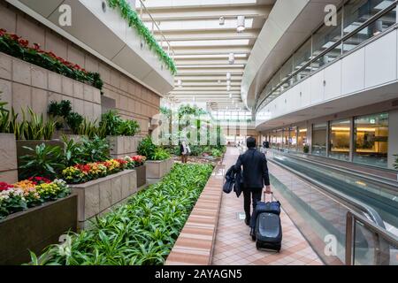Tokyo, Giappone - Febbraio 2020 : Architettura Interna Dell'Aeroporto Internazionale Di Tokyo Haneda. L'aeroporto di Tokyo Haneda è uno degli aeroporti più trafficati del mondo Foto Stock