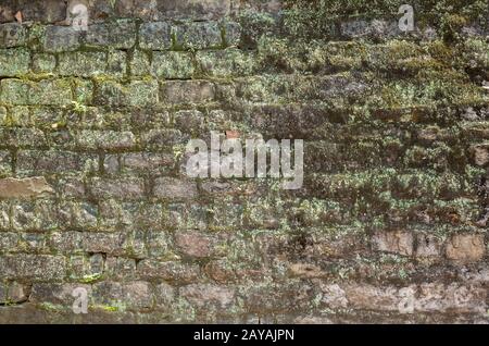 umidità invecchiato cemento muro sfondo Foto Stock