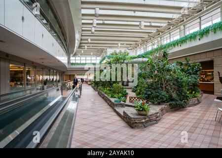 Tokyo, Giappone - Febbraio 2020 : Architettura Interna Dell'Aeroporto Internazionale Di Tokyo Haneda. L'aeroporto di Tokyo Haneda è uno degli aeroporti più trafficati del mondo Foto Stock