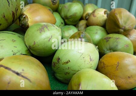 frutta di cocco accatastata sul mercato Foto Stock