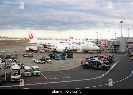 Tokyo, Giappone - Febbraio 2020: JAL, Japan Airlines, aeromobile sulla pista dell'Aeroporto Internazionale Haneda di Tokyo in Giappone. Foto Stock