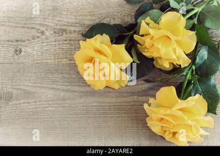 Luxury Rose giallo su uno sfondo di legno chiaro Foto Stock