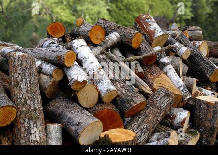 Catasta di legna da ardere Foto Stock
