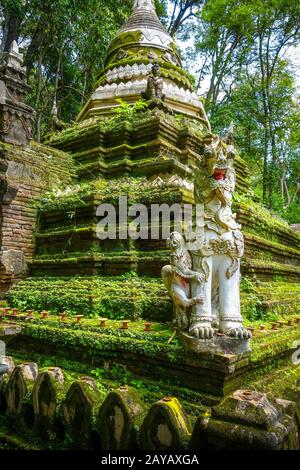 Wat Palad tempiale stupa, Chiang mai, Thailandia Foto Stock