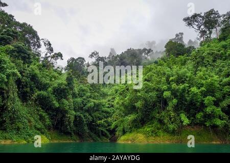 Misty Morning sul lago Cheow LAN, Khao Sok National Park, Thailandia Foto Stock