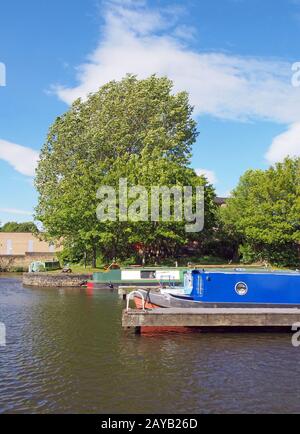 vecchie barche strette convertite in case ormeggiate nel porto turistico a brighouse bacino nello yorkshire occidentale circondato da alberi e un bri Foto Stock