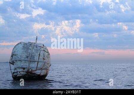 vecchia boa di mare nel mare Foto Stock