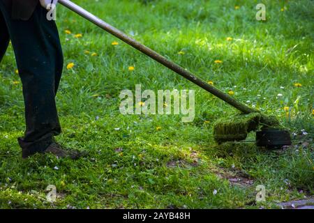 lavoro di rifilatura erba nel parco. servizio professionale di cura del prato utilizzando il rifinitore a benzina all'ombra degli alberi Foto Stock