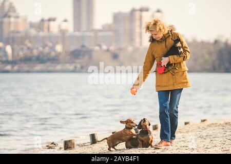 Donna gioca con i cani. Animali domestici e cani formazione e educazione cani. Concetto di animali da compagnia. Concetto di animali da compagnia. Cane Lover.Cauc Foto Stock