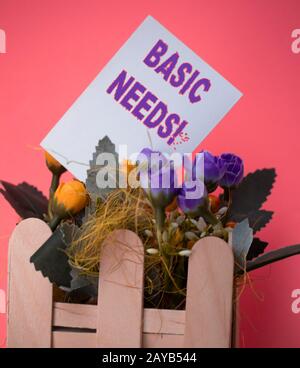 Testo per la scrittura di parole esigenze di base. Concetto di business per la misurazione della povertà assoluta nei paesi in via di sviluppo carta comune vuota in Foto Stock