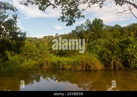 Vista delle isole Orangutane (progettate per aiutare gli orangutani nella loro riabilitazione) a Samboja vicino Balikpapan, su Kalimantan, Indonesia. Foto Stock