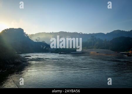 Alba nella giungla, Taman Negara parco nazionale, Malesia Foto Stock