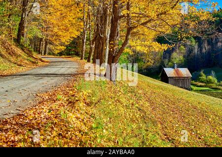 Strada sterrata in autunno in Vermont, USA. Foto Stock