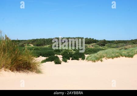 la spiaggia di formby merseyside con dune ricoperte di erba di montone e vegetazione con paesaggio forestale in lontananza su una riva Foto Stock