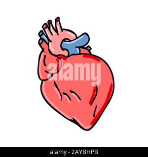 Cuore umano Cartoon Foto Stock