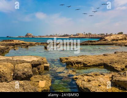 Gli uccelli volano nel cielo blu Foto Stock