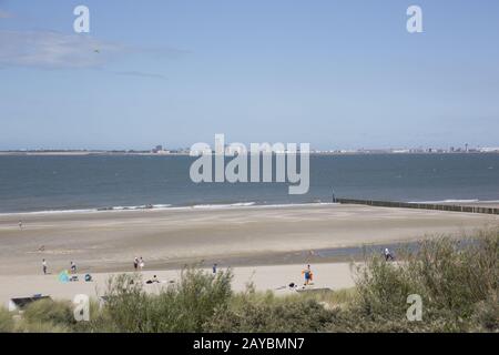 Protezione costiera da grotte di legno sulla spiaggia di sabbia, sullo sfondo Vlissingen Foto Stock