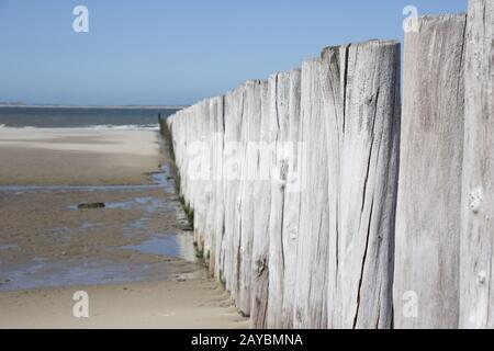 Protezione costiera da grotte di legno sulla spiaggia di sabbia Foto Stock