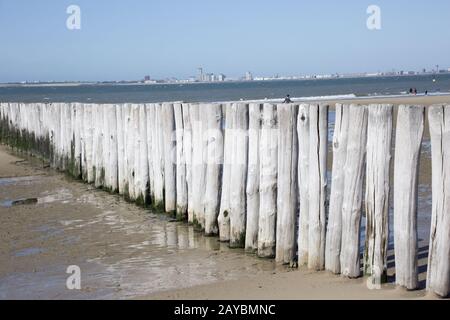 Protezione costiera da grotte di legno sulla spiaggia di sabbia, sullo sfondo Vlissingen Foto Stock