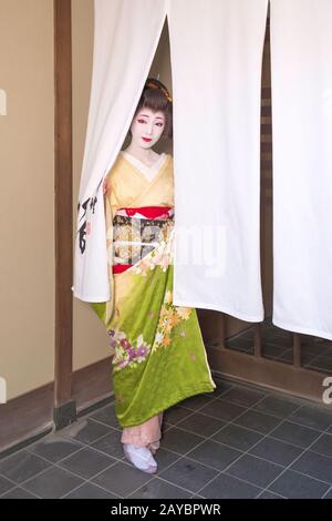 Un Kyoto Geiko guardando attraverso un Noren Foto Stock