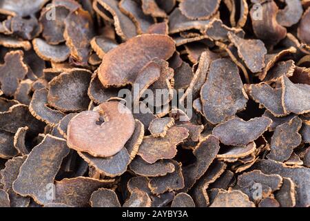 fette di tubero gastrodia Foto Stock
