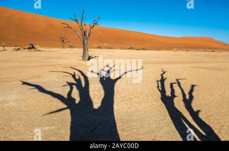 Morto alberi Camelthorn e dune rosse in Deadvlei, Sossusvlei, Namib-Naukluft National Park, Namibia Foto Stock