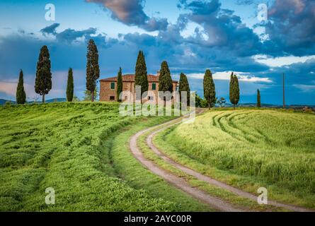 Vista panoramica del tipico paesaggio toscano, Italia Foto Stock