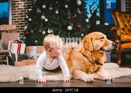 Amico uomo bambino e cane animale domestico. Tema Natale Capodanno Vacanze Invernali. Bambino ragazzo sul pavimento decorato albero e miglior amico Foto Stock