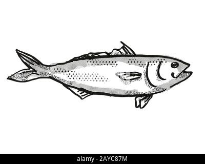 Disegno retrò del cartoon di pesce di salmone dell'Australia orientale Foto Stock