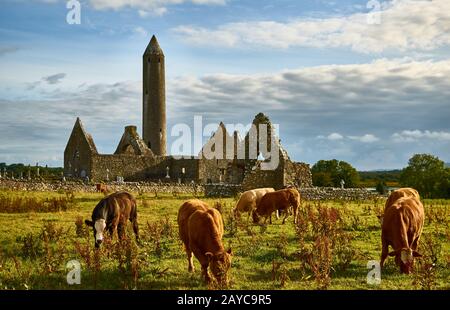 Celtica irlandese concetto del paesaggio. Rovine medievali di un Tempio e cimitero build di calcare. Foto Stock