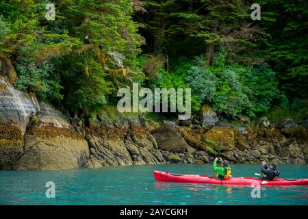 Persone in kayak che guardano un'aquila calva (Haliaeetus leucocephalus) nella Baia di Takatz sull'Isola di Baranof, nella Foresta Nazionale di Tongass, Alaska, Stati Uniti. Foto Stock