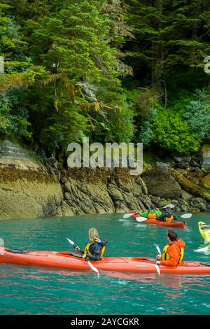 Persone in kayak che guardano un'aquila calva (Haliaeetus leucocephalus) nella Baia di Takatz sull'Isola di Baranof, nella Foresta Nazionale di Tongass, Alaska, Stati Uniti. Foto Stock