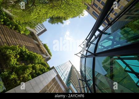 Bassa angolazione dei moderni edifici in vetro e verde con cielo chiaro dello sfondo. Foto Stock