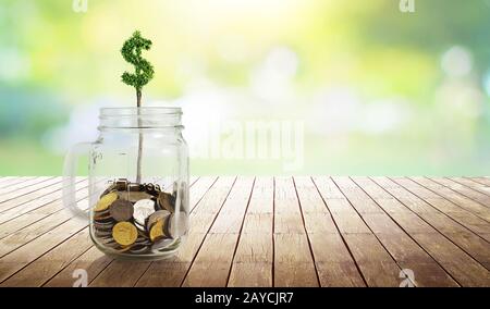 Monete nel vetro con la pianta di forma di soldi che cresce Foto Stock