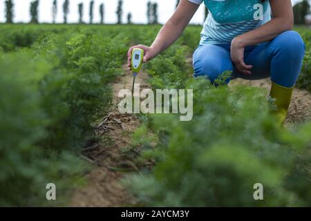 Misurare il terreno con un dispositivo digitale. Piante verdi e contadino di donna misura PH ed umidità nel suolo. Foto Stock