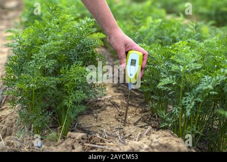 Misurare il terreno con un dispositivo digitale. Piante verdi e contadino di donna misura PH ed umidità nel suolo. Foto Stock