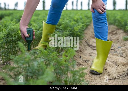 Misurare il terreno con un dispositivo digitale. Piante verdi e contadino di donna misura PH ed umidità nel suolo. Foto Stock