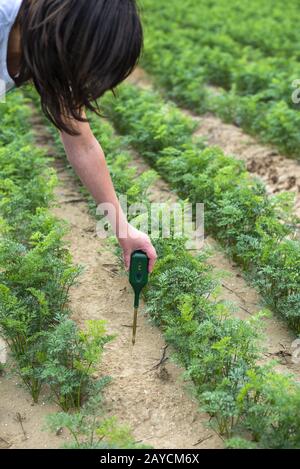 Misurare il terreno con un dispositivo digitale. Piante verdi e contadino di donna misura PH ed umidità nel suolo. Foto Stock