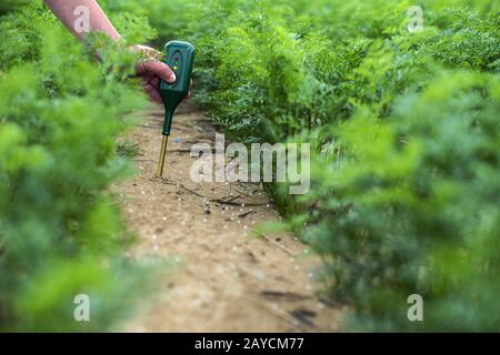 Misurare il terreno con un dispositivo digitale. Piante verdi e contadino di donna misura PH ed umidità nel suolo. Foto Stock