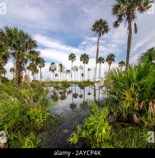 isola di caccia south carolina beach scene Foto Stock