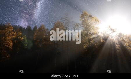 Via Lattea stelle con moonlight al di sopra di foresta di conifere Foto Stock