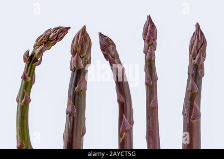 Asparagi viola e verdi Foto Stock