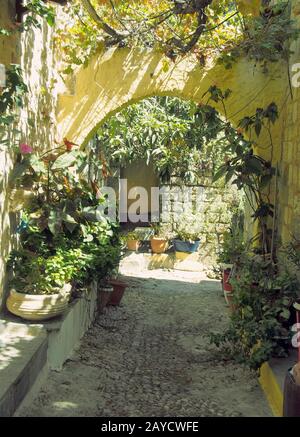 un antico vicolo illuminato dal sole nella città di rodi con archi in pietra gialla tra pareti e fiori che crescono in piante di vaso Foto Stock