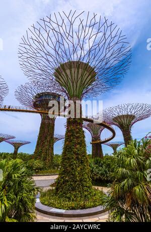 Park Gardens dalla Baia - Singapore Foto Stock